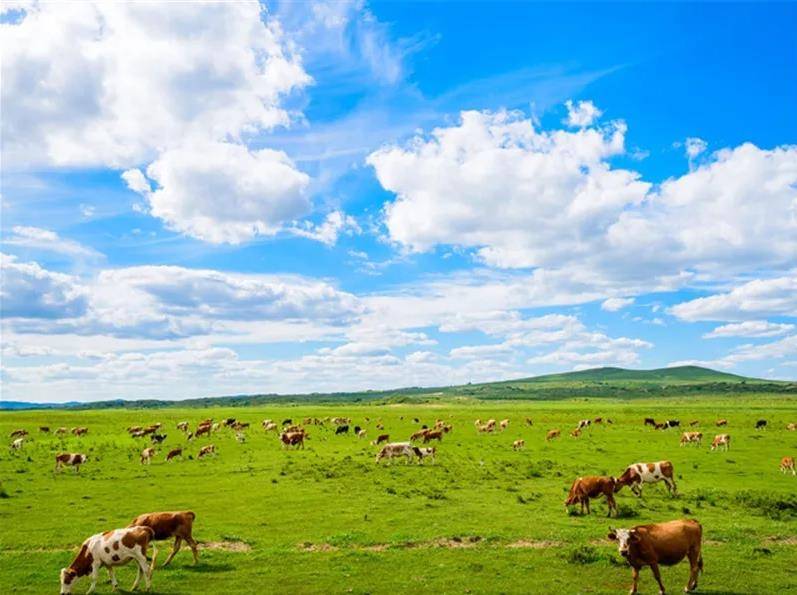 内蒙古，致敬嘉宾与观众朋友们