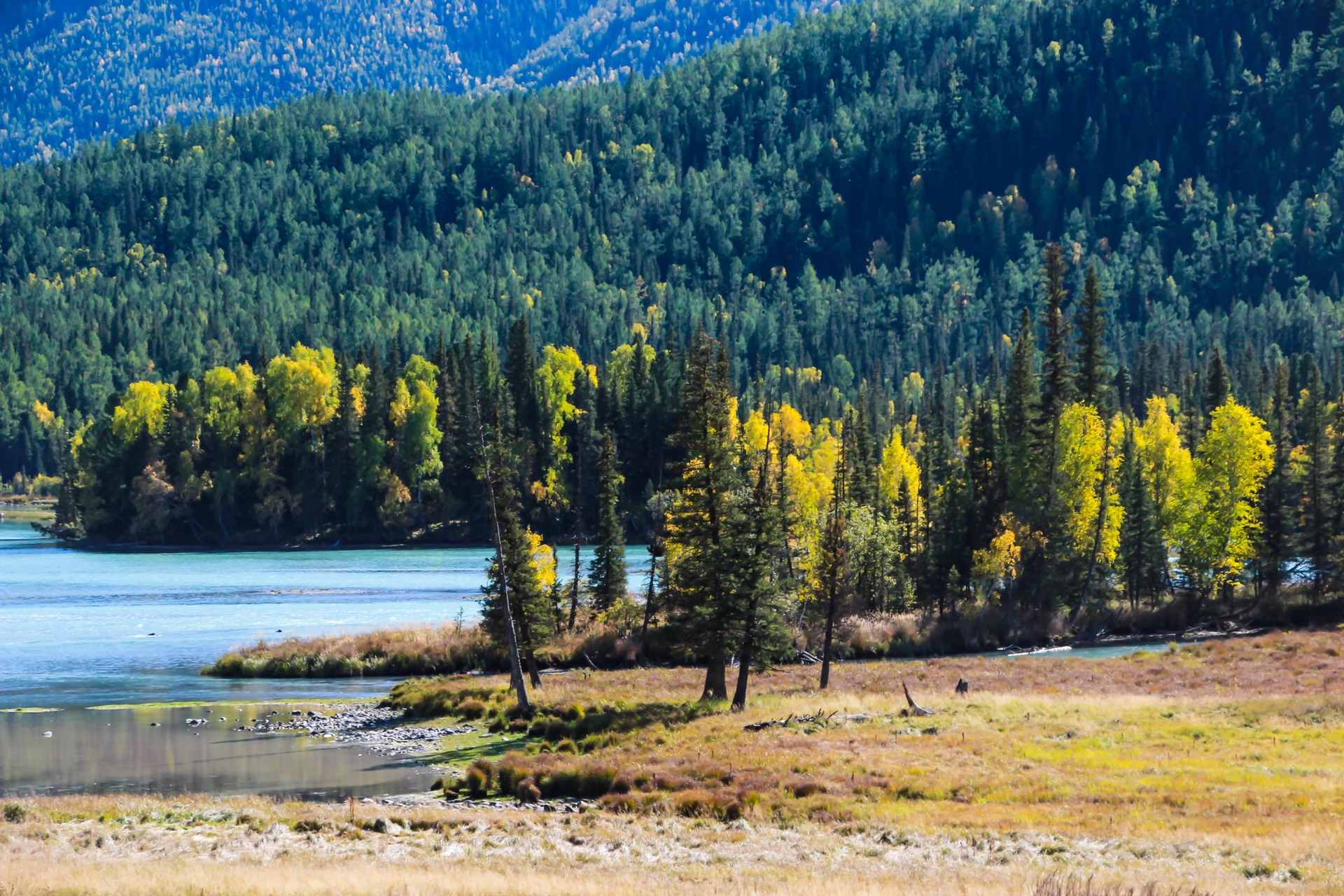 新疆，秘境之美与无限商机探索